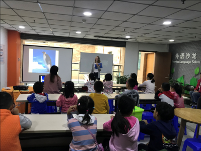 ＂激情学外语 快乐求发展＂公益外语沙龙活动《外教带你认识有趣的海洋动物》活动回顾